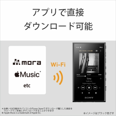 walkman2019