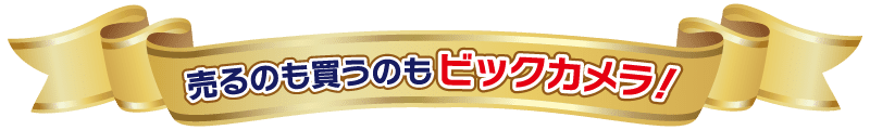 買い替えするならビックカメラ!