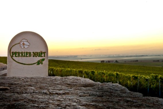 perrier_jouet_04.jpg