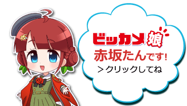 ビッカメ娘 赤坂たん