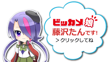 ビッカメ娘 藤沢たん