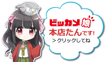 ビッカメ娘 本店たん
