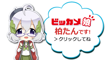ビッカメ娘 柏たん