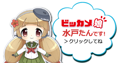 ビッカメ娘 水戸たん