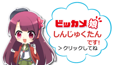 ビッカメ娘 しんじゅくたん
